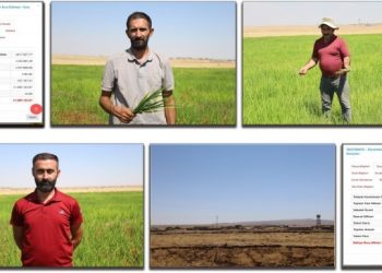 Trafoları sökülen çiftçiler: Abonelik için gittiğimizde ceza kesiliyor