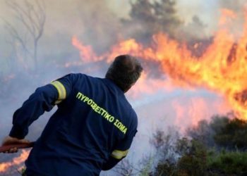 Yunanistan’da orman yangını sürüyor: 18 cenaze bulundu