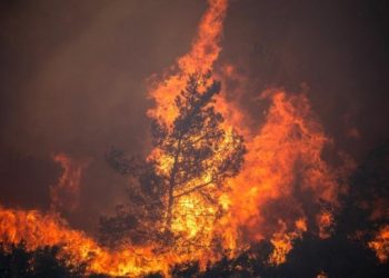 Yunanistan’daki yangınlarda 1.5 milyon dönüm arazi kül oldu