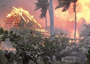 ABD’deki orman yangınlarında ölü sayısı 89’a çıktı