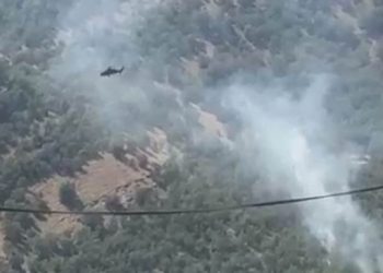 Bilbês köyü kırsalı havadan bombalandı