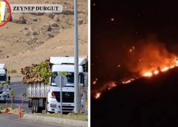 Cûdî ve Gabar hedefte: 3 yılda 37 yangın, 68 orman kıyımı