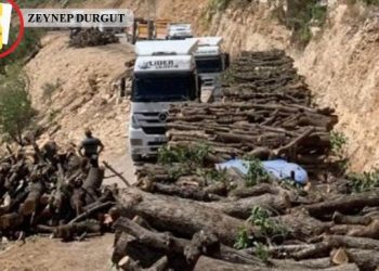 30 yıldır yasaklı olan Gabar’da petrol talanı