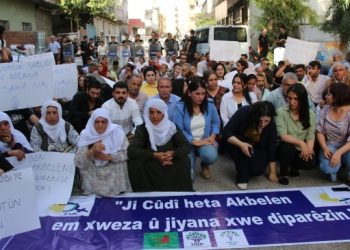 Silopiya’da Cudi için açıklama: Ormanlarımız da tecrit altında