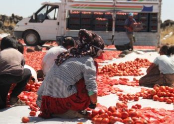 Qerejdax’da çiftçi de işçi de isyanda!