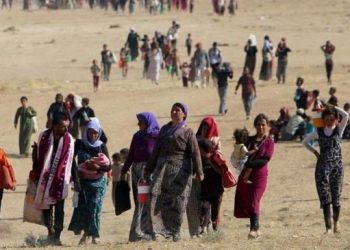 74'üncü Ferman üzerinden 9 yıl geçti: Şengal'in statüsü tanınsın