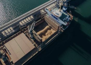 ABD: Rusya, Tahıl Anlaşması’na dönmeye hazır olabilir; ama buna dair bir kanıt görmedik