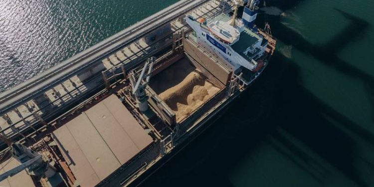 ABD: Rusya, Tahıl Anlaşması’na dönmeye hazır olabilir; ama buna dair bir kanıt görmedik