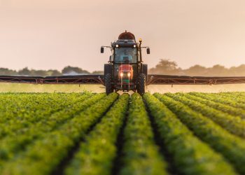 AKP'nin tarımı bitirme planı: İşte BAE'ye verilen gümrük muafiyetindeki ürünler