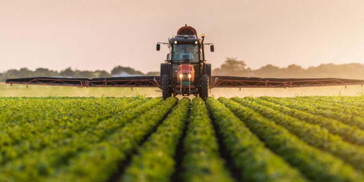 AKP'nin tarımı bitirme planı: İşte BAE'ye verilen gümrük muafiyetindeki ürünler