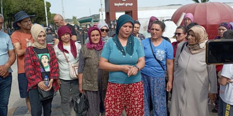 Agrobay’da sendikalaşan işçiler işten atıldı