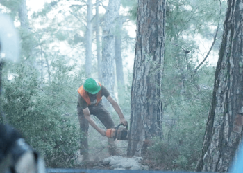 Akbelen Ormanı'nı yok ettiler: Hava kirliliği sınır değere ulaştı