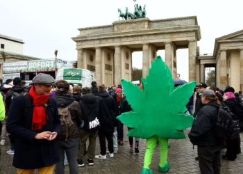 Alman Tabipler Birliği yeni esrar yasa tasarısını eleştirdi