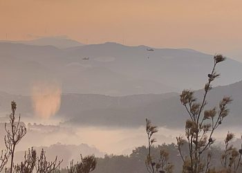 Bakan Yumaklı, Çanakkale’deki orman yangınının kontrol altına alındığını açıkladı
