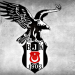 Beşiktaş'tan taraftarını heyecanlandıran paylaşım!
