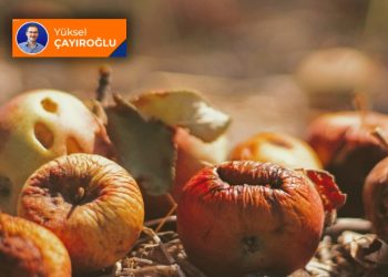 Bir türlü değişen her türlü değişir