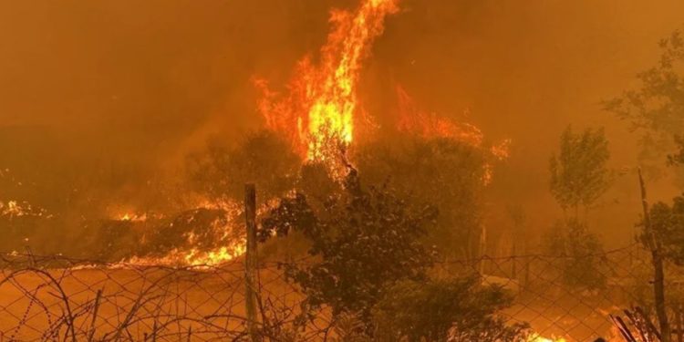 Çanakkale’de orman yangını: 9 köy boşaltıldı, karayolu sivil araç trafiğine kapatıldı