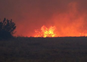 Çanakkale'de orman yangını: Köyler tahliye edildi; söndürme çalışmaları devam ediyor