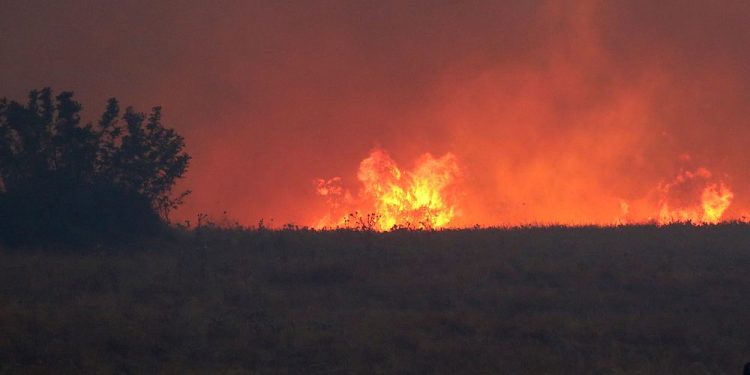 Çanakkale'de orman yangını: Köyler tahliye edildi; söndürme çalışmaları devam ediyor
