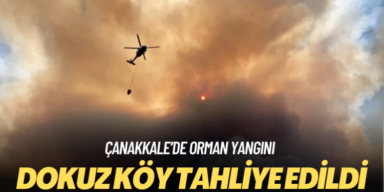 Çanakkale’de orman yangını nedeniyle dokuz köy tahliye edildi