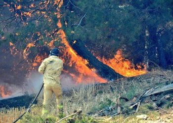 Çanakkale’deki orman yangını 3. günde kontrol altına alındı: 4 bin hektar alan küle döndü