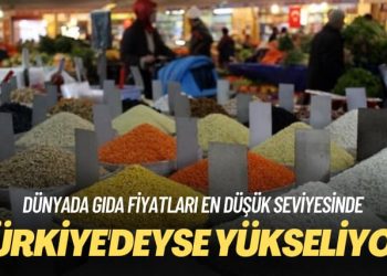Dünyada gıda fiyatları en düşük seviyesinde: Türkiye’deyse yükseliyor
