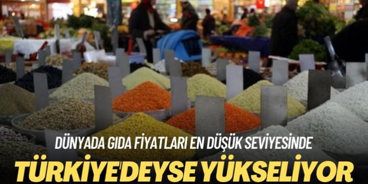Dünyada gıda fiyatları en düşük seviyesinde: Türkiye’deyse yükseliyor