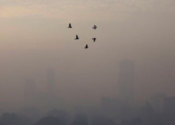 Endonezya'nın başkenti hava kirliliği yüzünden değişiyor: Gelecek yıl Cakarta'dan Nusantara'ya taşınacak