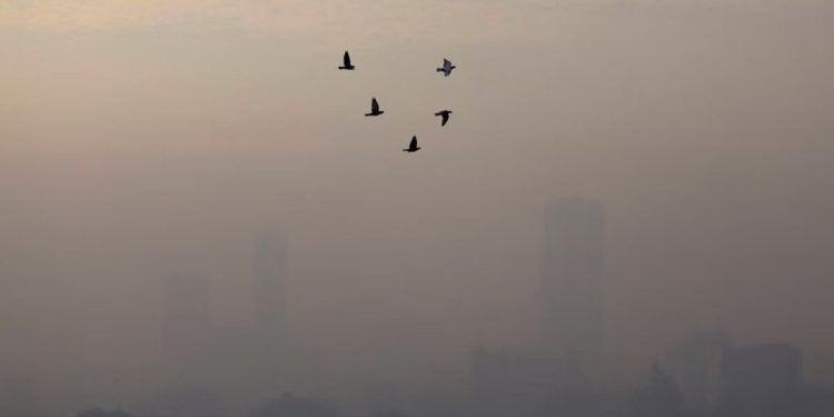 Endonezya'nın başkenti hava kirliliği yüzünden değişiyor: Gelecek yıl Cakarta'dan Nusantara'ya taşınacak