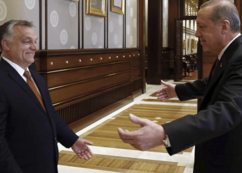 Erdoğan Macaristan yolcusu: İki ülke liderlerinin ortak özellikleri neler?