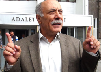 Eski AKP'li yönetici saldırdı: Mahmut Alınak’ın 80 yaşındaki ablasına işkence