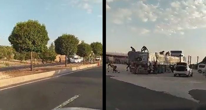 Görüntüler Şanlıurfa’dan; kamyondaki kaçak göçmenler, fıstık bahçelerine kaçtı