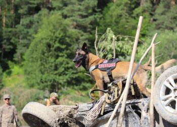 Gürcistan Şovi'deki heyelanda ölü sayısı yükseliyor