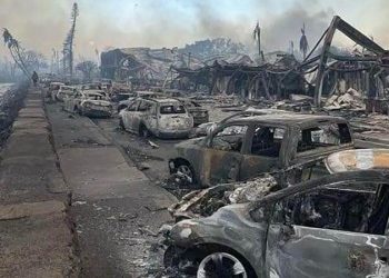 Hawaii yangınları: Ölü sayısı 99’a çıktı, 1300 kişi kayıp