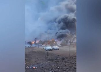 Hawaii'de orman yangını: İnsanlar kurtulmak için okyanusa atladı