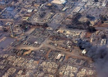 Hawaii'deki orman yangını: 338 kişi halen kayıp