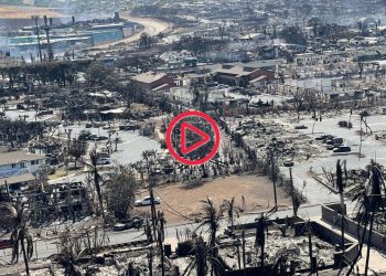 Hawaii'deki orman yangınında ölü sayısı 96'ya yükseldi: Yüzlerce kişi hala kayıp