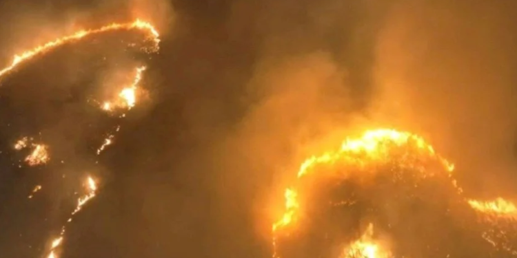 Hawaii’deki orman yangınları: 53 kişi yaşamını yitirdi