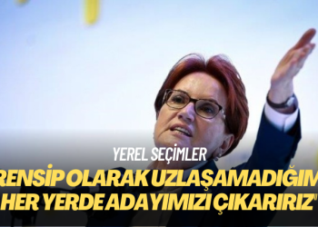 İYİ Parti, ‘prensipte anlaşmadığı her yerde’ aday çıkaracak