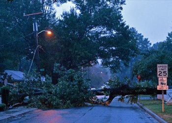 Idalia Fırtınası öncesi Biden'dan Florida'da OHAL'e onay