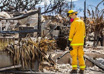 İhmal iddialarının ardından: Hawaii Acil Durum Yönetim Kurumu Başkanı'ndan 'yangın' istifası