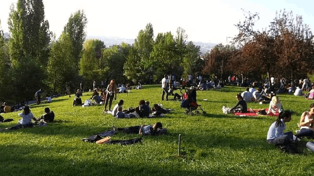 İstanbul Barosu'ndan 'alkol genelgesi'nin iptali için dava