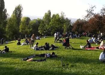 İstanbul Barosu'ndan 'alkol genelgesi'nin iptali için dava