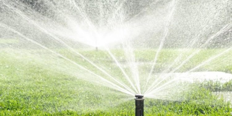 İstanbul’da barajların doluluk oranı kritik seviyeye indi: İSKİ su kullanımına kısıtlama getirdi