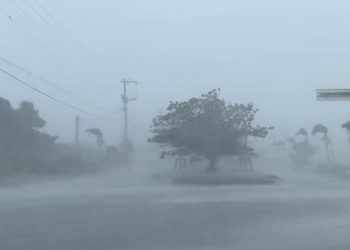 Japonya'da Khanun Tayfunu: Bir kişi öldü, yüz binlerce hanenin elektriği kesildi