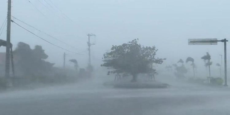 Japonya'da Khanun Tayfunu: Bir kişi öldü, yüz binlerce hanenin elektriği kesildi