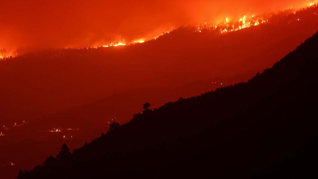 Kanada, İspanya ve Yunanistan'da orman yangınları: Maui'de ölü sayısı 114'e yükseldi