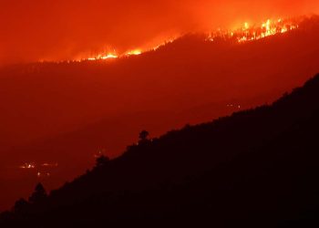 Kanada, İspanya ve Yunanistan'da orman yangınları: Maui'de ölü sayısı 114'e yükseldi