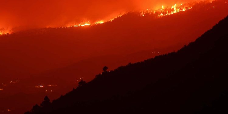 Kanada, İspanya ve Yunanistan'da orman yangınları: Maui'de ölü sayısı 114'e yükseldi