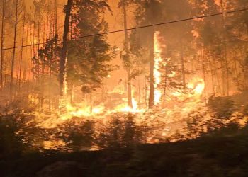 Kanada ve Kanarya Adaları'ndaki yangınlar söndürülemiyor, binlerce kişi tahliye edildi